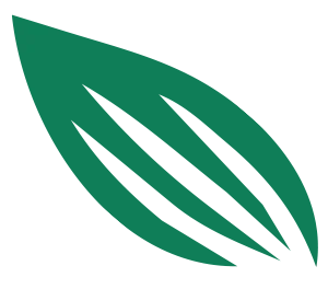 leaf-icon-green